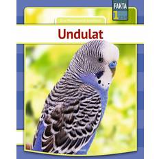 Undulat (Indbundet)