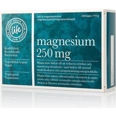 Magnesium + B6