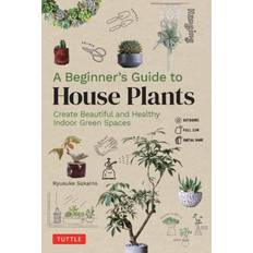 A Beginner's Guide to House Plants