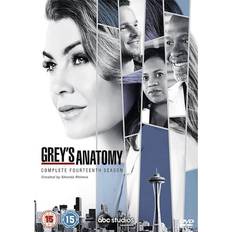 Grey's Anatomy Säsong 14