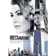 Greys Anatomy Season 14