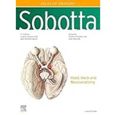 Sobotta Atlas of Anatomy, Vol. 3, 17th ed. English/Latin (Indbundet)