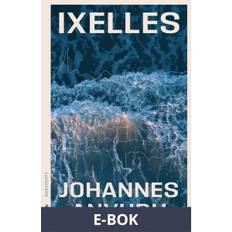 Ixelles roman (E-bok)