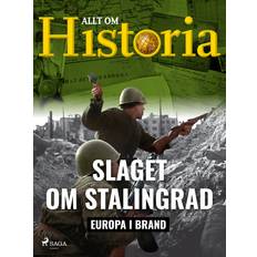 Slaget om Stalingrad (E-bok)