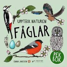 Upptäck naturen fåglar Pekbok! Emma Jansson (Indbundet)