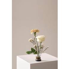 Jotex FIORE blomsterfakir Vase