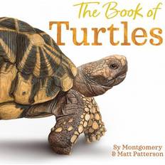 The Book of Turtles-Sy Montgomery-Sy Montgomery (Indbundet)