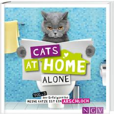 Cats at home alone Das Geschenkbuch für Katzenliebhaber (Gebunden)