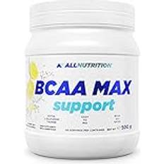 Acides Aminés Allnutrition BCAA Max Support Pulver/Kapseln Komplex