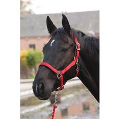 ELDORADO Nylon Horse Halter Lea