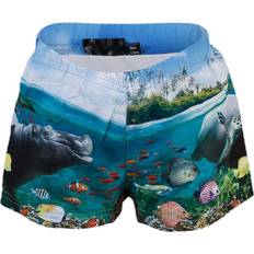 18-24M Costumi da bagno Molo Newton - Imagine (8S19P306 5353)