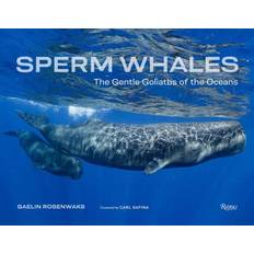 Sperm Whales (Indbundet)