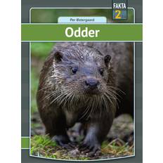 Bøger Odder