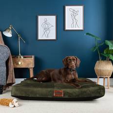 Dog Beds, Dog Blankets & Cooling Mats - Dogs Pets Slumberdown Green, Large Paws for Padded Pet Bed