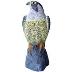 Falcon Bird Deterrent  
