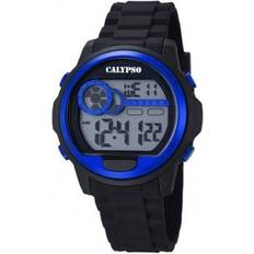 Calypso K5667/3
