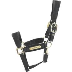 Imbracature per cavalli Kentucky Horsewear Cavezza con velluto