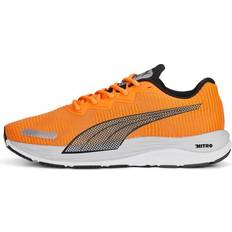 Running shoes men Puma Velocity Nitro Fade Running Shoes Men