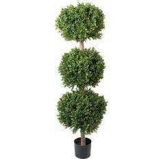 Mr Plant Buxbom 140 cm