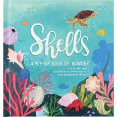 Law Books Shells Book - Multi - One Size (Hardcover)