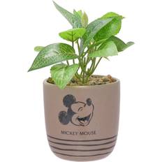 Cheap Outdoor Planter Boxes Disney Home Mouse Planter with Artificial Plant