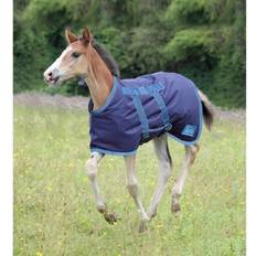 Turquoise Horse Rugs Shires Foal Blanket