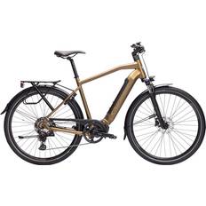 Elder 20S, Elassisterad Sport 700 2024