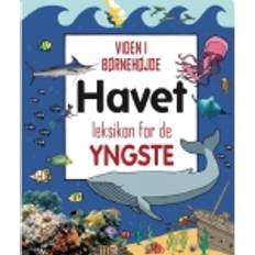 Havet Leksikon for de yngste (Indbundet)