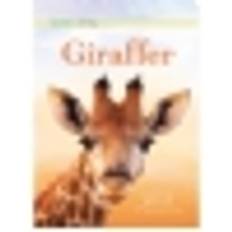 Små Fakta: Giraffer