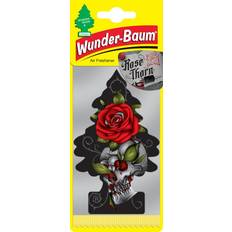 Wunder-Baum Doftgran Rose Thorn