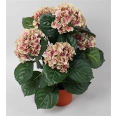 Hortensia gammelrosa H40 Kunstig plante