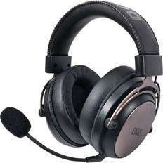 GH310