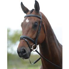 Kincade Pony, Black Flash Bridle