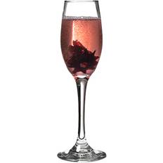 Dishwasher Safe Champagne Glasses Libbey Perception Flutes Champagne Glass