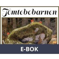 Tomtebobarnen Elsa Beskow (E-bok)