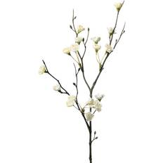 Blommegren I Hvid