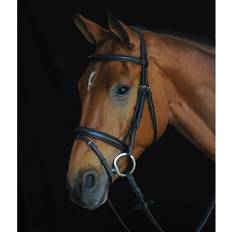 Hodelag Collegiate Pony, Black Comfort Crown Padded Raised Flash Bridle