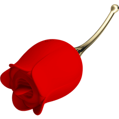 Pretty Love Rose Lover