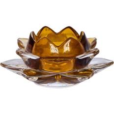 Lotus Amber