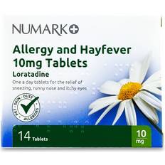 Loratadine 10mg Allergy Fever 10pcs Tablet