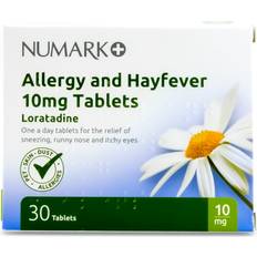 Loratadine 10mg Allergy Fever 10pcs