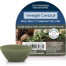 Cuir Bougies Parfumées Yankee Candle Fondants Signature Sauge Argent et Pin Bougies 22 g Bougie Parfumée