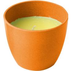 Citronella ljus Brunner Citronella S Orange Doftljus 12g