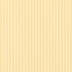 Wallpapers Sanderson New Tiger Stripe DCAVTP104
