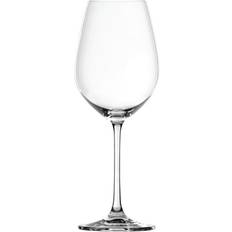 White Wine Glasses Spiegelau Salute White Wine Glass 12pcs