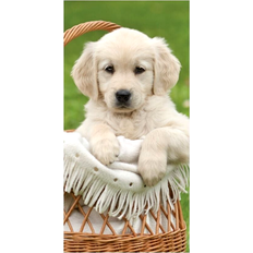 Licens Handtuch xxl golden retriever welpe hund badetuch duschtuch tiere hunde Mehrfarbig 70 cm x 140 cm