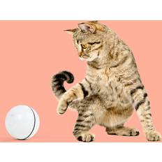 Coolstuff Roterande Aktivitetsboll Katt