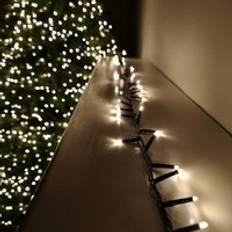 Beige Christmas Lights Samuel Alexander 125m LEDs Christmas Tree Light