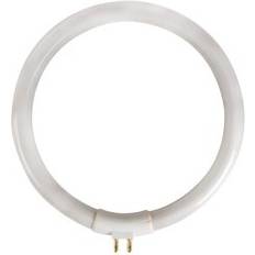 Velleman Circular Fluorescent Tube 12W/T4