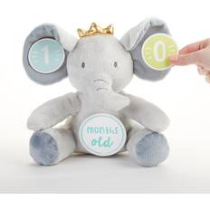 Baby Aspen My First Elephant Plush Plus Milestone Markers